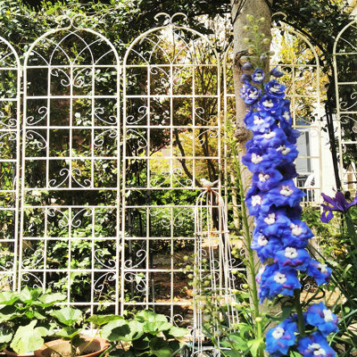 Ensemble de 2 treillis de jardin en métal 86,7 po x 19,7 po, antirouille blanc crème, supporte les plantes grimpantes comme les vignes, le jasmin, le concombre, la gloire du matin à installation rapide, les pois,