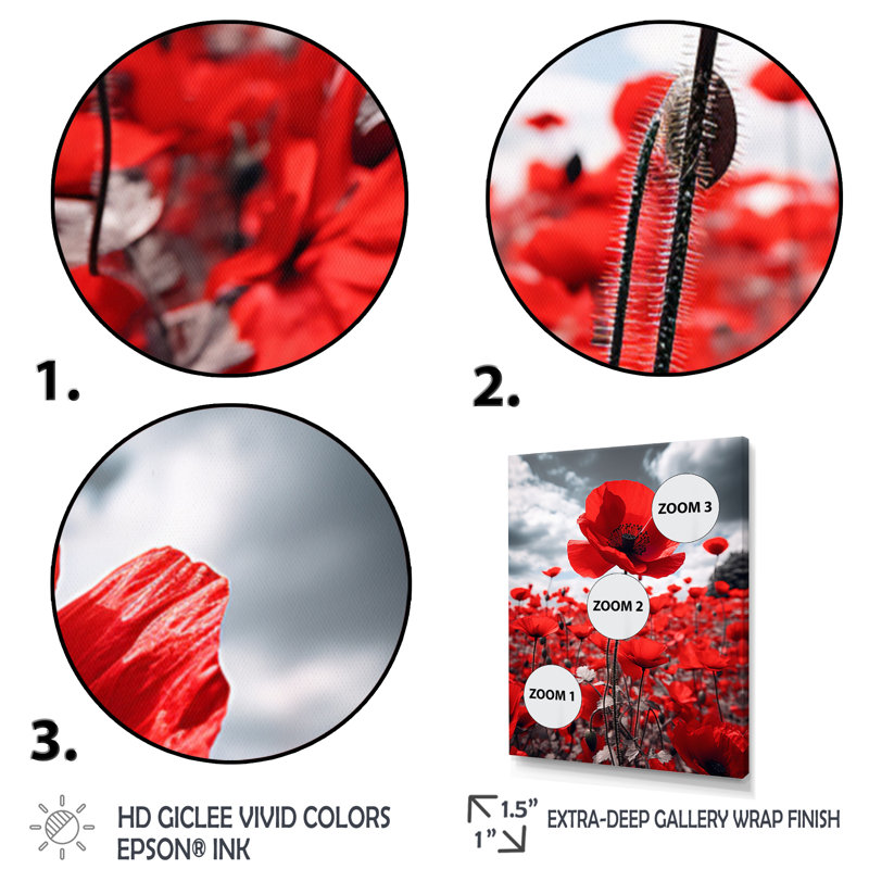 Weixel Flower Field Scarlet Symphony I - impression, Cadre photo noir, H 20 po x l 12 po x P 1 po