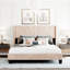 Lit Murva-704038963