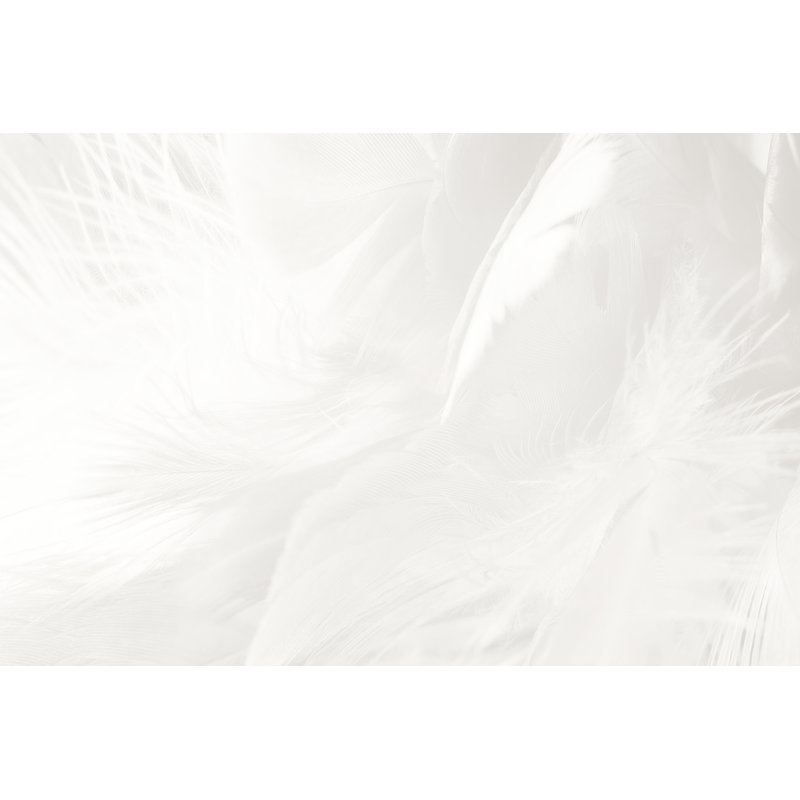 Feather Texture Background by Nadtytok - Wrapped Canvas Print, 20cm H x 30cm W x 3.8cm D