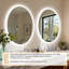 Oval LED Lighted Bathroom Mirror Backlit with Defog Memory Function -1967938283