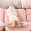 Canapé modulaire Pink Cloud