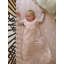 Drap pour lit de bébé - Oie tutu-1645341162