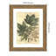 «Weathered Maple Leaves No. 2» par Gerard Paul Deshayes, reproduction d'art encadrée sur bois-938976942-938976939