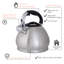 Détails de la cuisine Bouilloire pour cuisinière en acier inoxydable-25472681