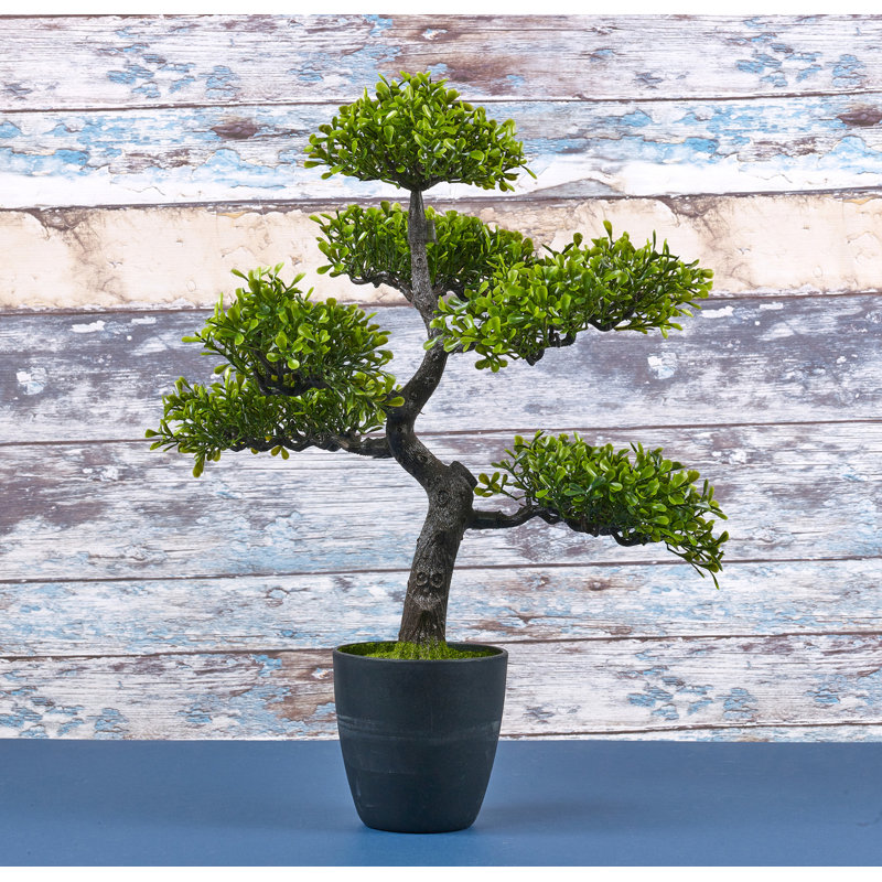 49cm Faux Bonsai Plant in Planter