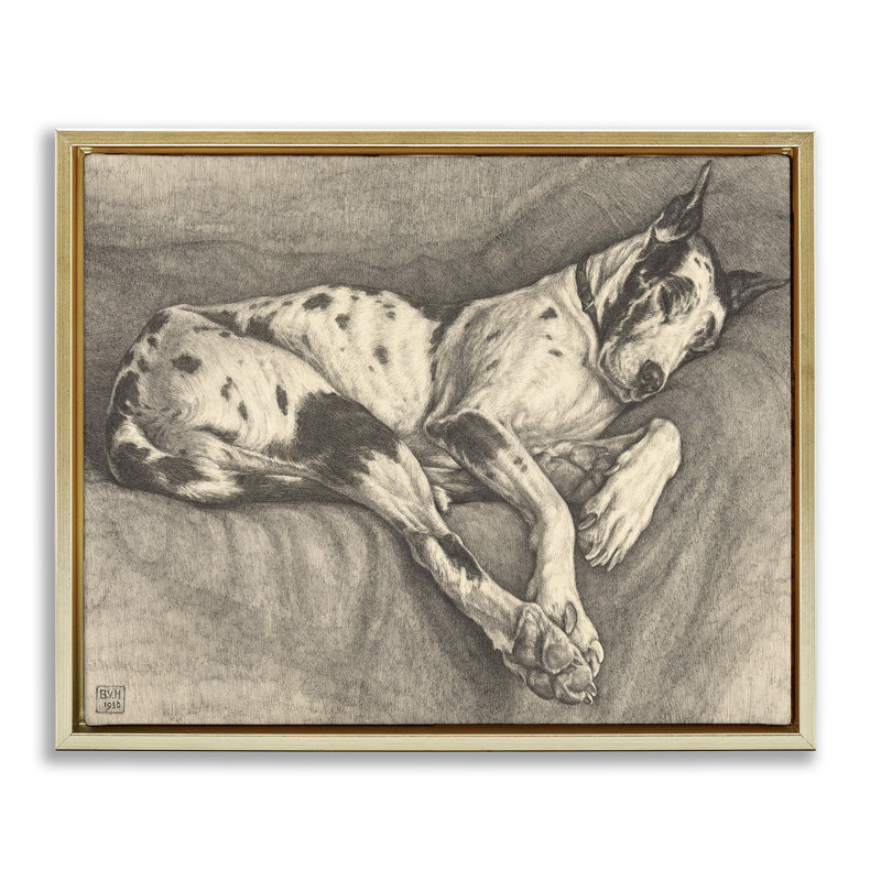 Sleeping Hound Drawing Floating Frame, design by Bertha Van Hasselt, 25" H x 31" W, Metallic Gold Floater Framed