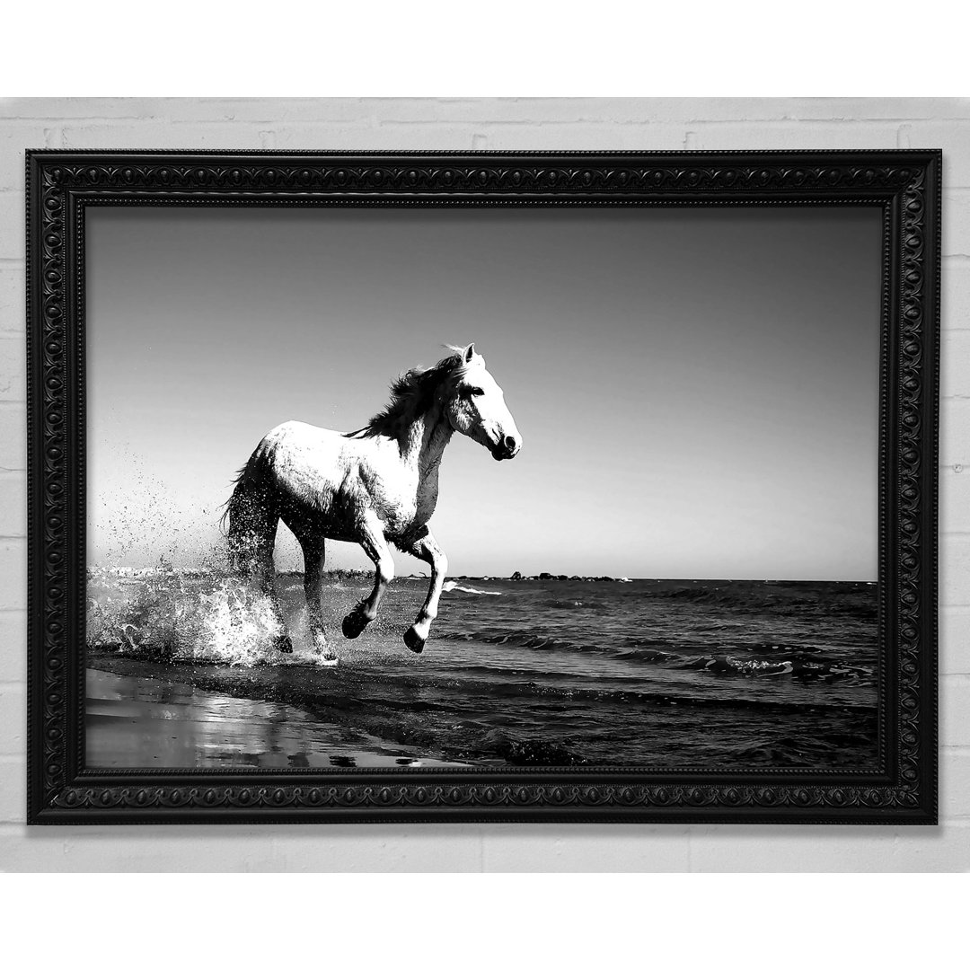 Camargue Silver Horse - Einzelner Bilderrahmen Kunstdrucke