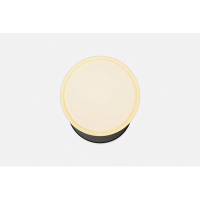 Marea Wall Sconce