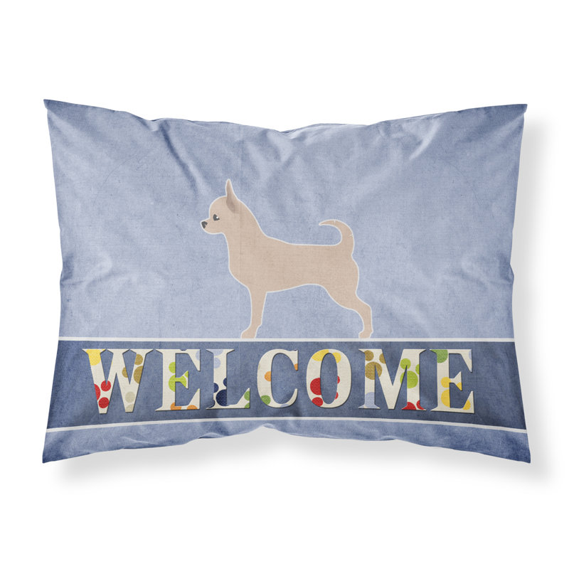 Microfiber, Chihuahua