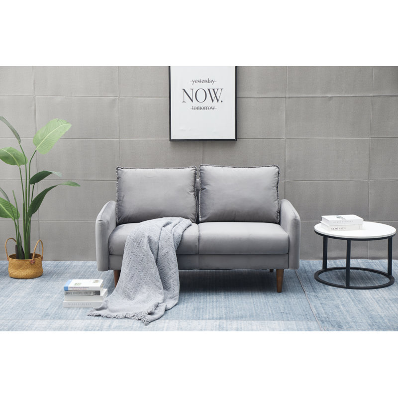 Abdur-Rasheed 58'' Velvet Loveseat, Light Gray Velvet