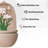 31" in H Outdoor Wall Water Fountain with Pump- Pink Flower with Dragonfly Design with Mesh guard-2143327761