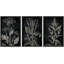 "Croquis botaniques noir et blanc, plantes élégantes, illustrations, art moderne, salon", 3 pièces-100781147-100781148