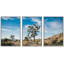 Joshua Tree, désert, parc national, paysage, nature sauvage, photographie, art moderne, rustique-102297549-102297545