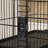 Peabody Small Animal Cage-700085043