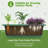 5-Tier Vertical Garden Metal Raised Garden Bed Elevated Planter Box with 4 Hooks, Removable Locking Wheels and Storage Shelf-95975324
