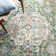 Wisner Oriental Area Rug