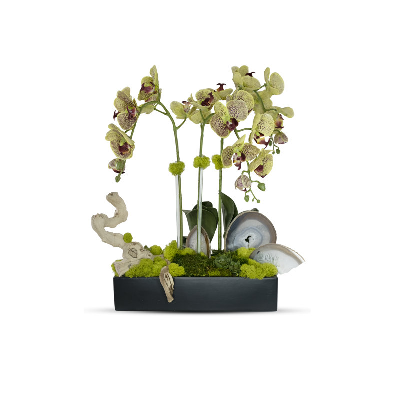 Agate Slabs Orchids In Planter, Green
