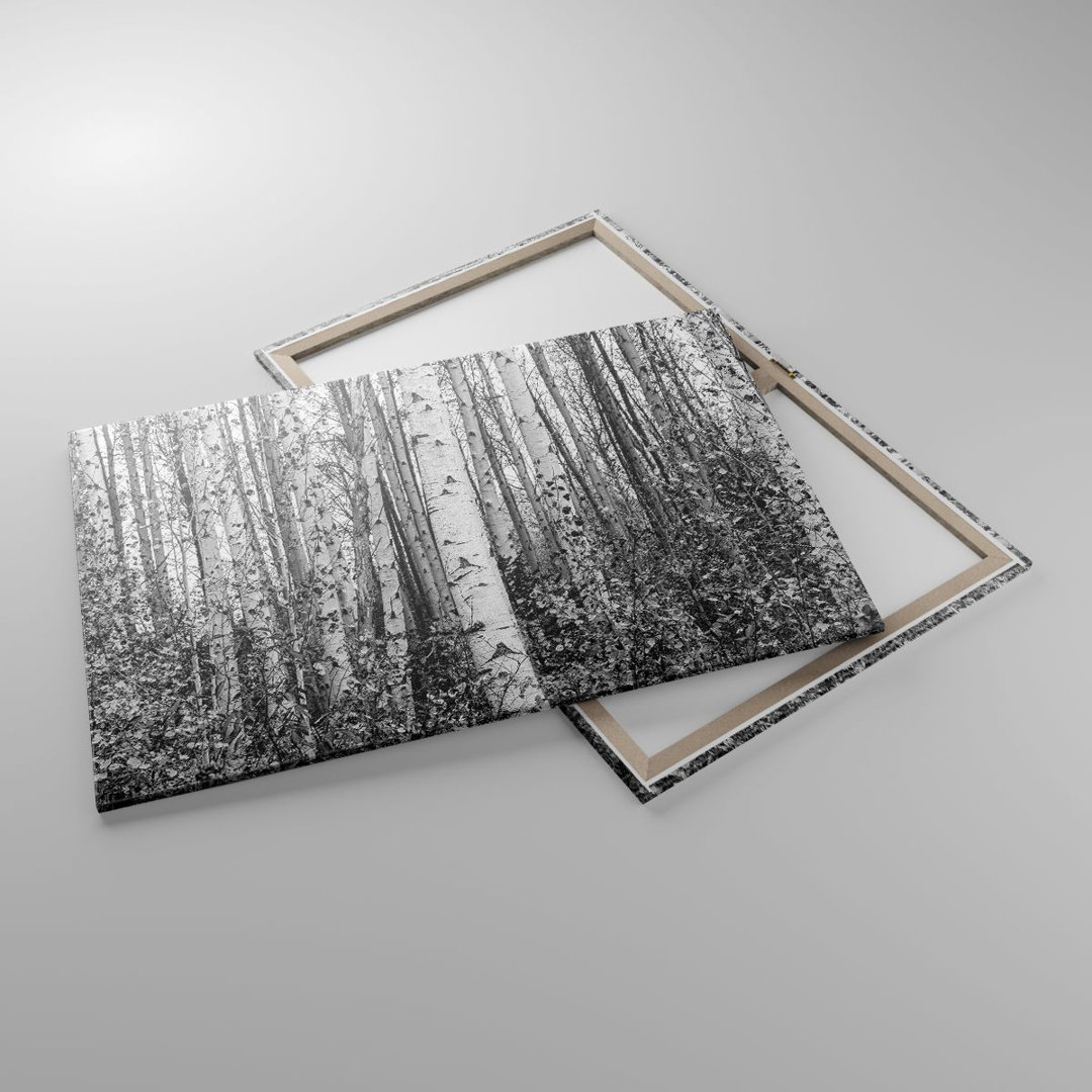 Leinwandbild Birch Trees Forest Monochrome