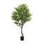 Faux Aralia Faux Foliage Tree in Pot-150141443