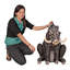 Statue de jardin warthog mauvaises intentions Giant