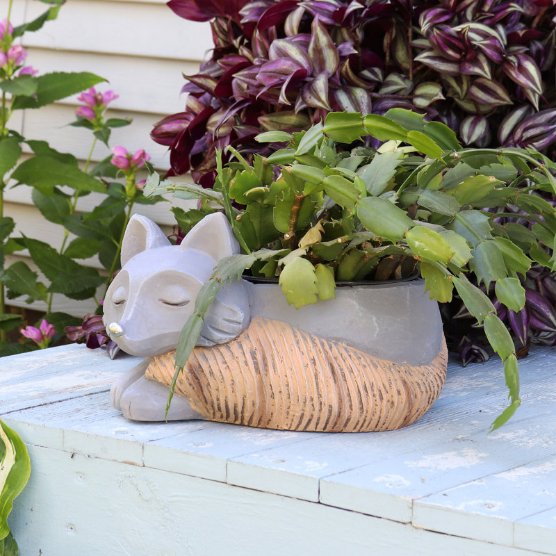 Pot à fleurs d'intérieur en céramique Toppino Fox - 12 po x 7 po x 8 po
