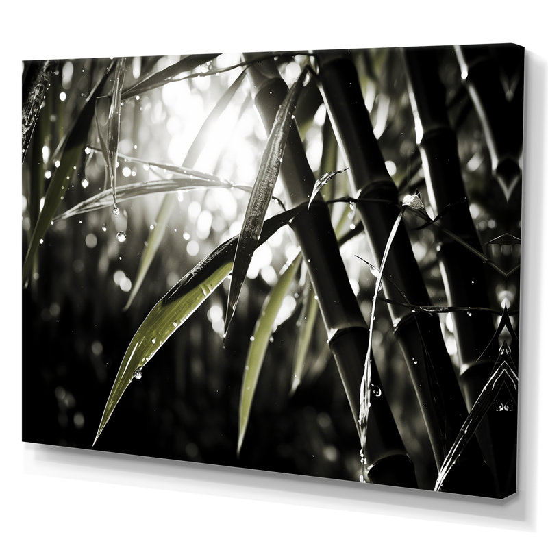 Décoration murale photo en bambou noir et blanc_106575, 34" H x 44" W x 1.5" D, Toile tendue
