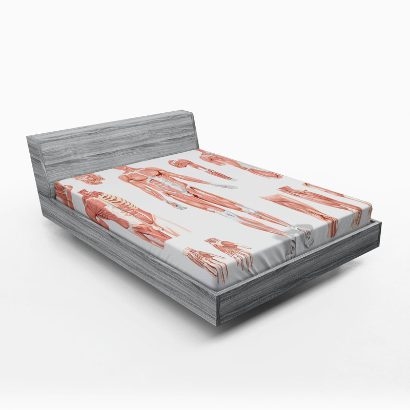Microfiber Fitted Sheet, Full Fitted Sheet