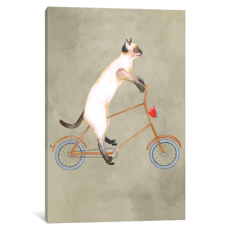 Cat On Bicycle - Print on Canvas, 101.6 cm H x 66.04 cm W x 1.91 cm D, Wrapped Canvas