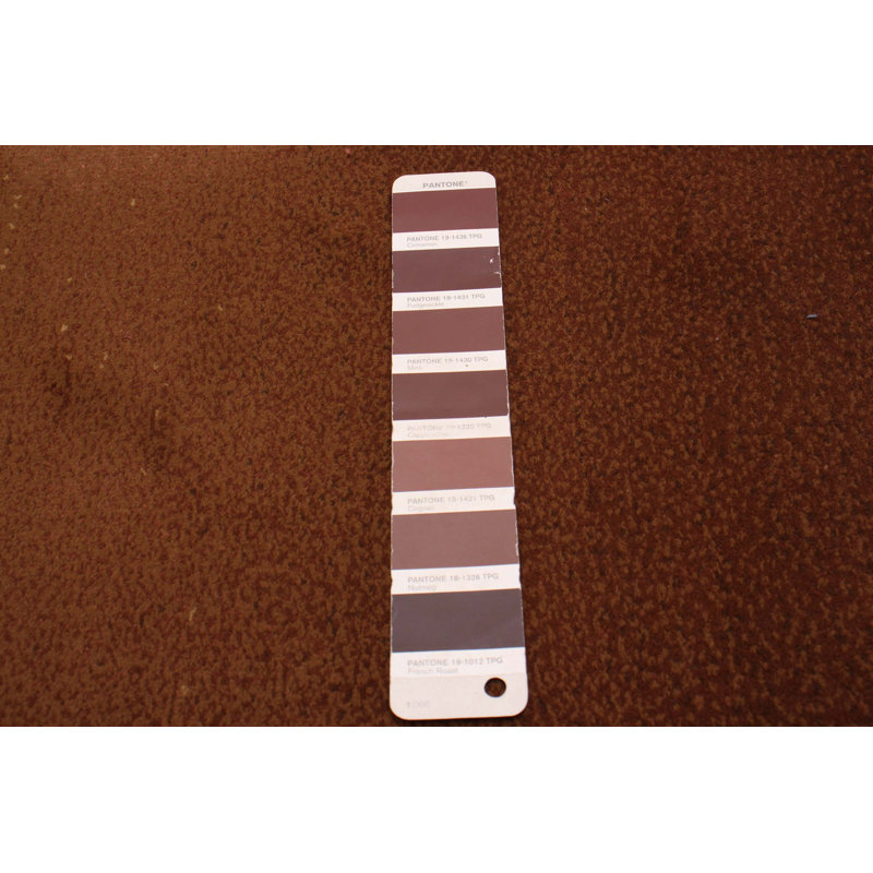 Kaywin Ombre Indoor Rug