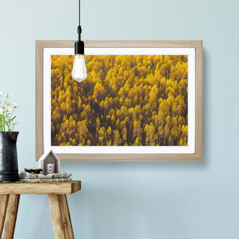 Golden Forest - Picture Frame Graphic Art Print, 48cm H x 65cm W x 2cm D, Oak Framed