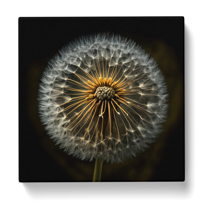 Dandelion Photograph No.1 - Wrapped Canvas