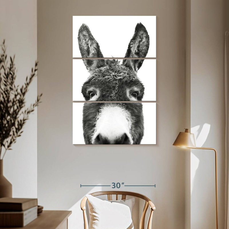 Âne Brampt regardant en noir et blanc, H 65 po x l 42 po