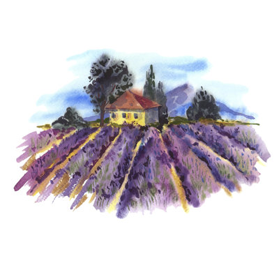 Aquarelle avec lavande en fleurs - peinture sur toile tendue