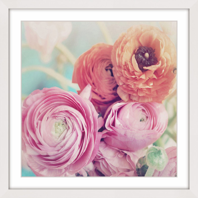« renoncule bouquet », reproduction de photo encadrée, H 32 po x l 32 po x P 1,5 po