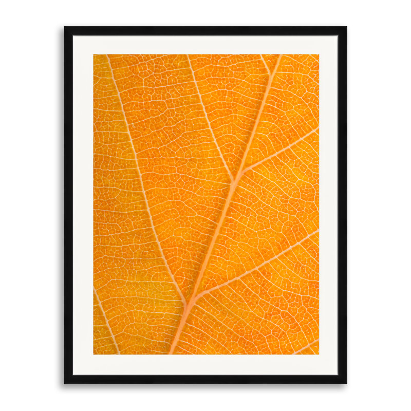 Autumn Leaf Print by Philippe Monthoux, 30" H x 24" W, Black Framed Paper
