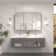 Gervon Rectangle Recessed or Surface Medicine Cabinet with Shelves and Mirror