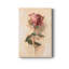 Painterly Rose Study I - Impression sur toile tendue-2074144283