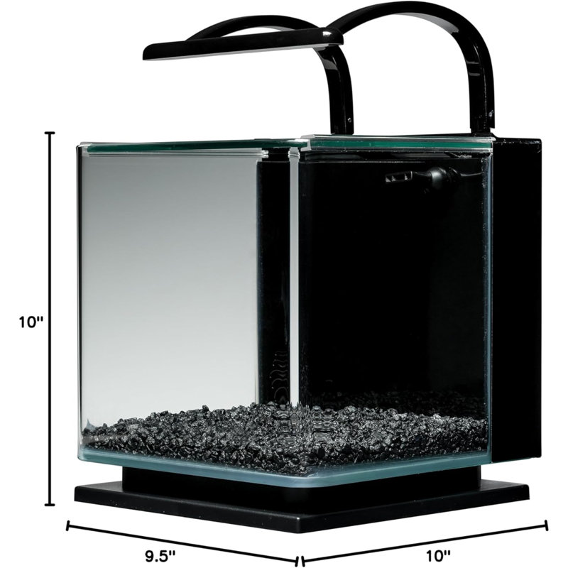 Ensemble d'aquarium Contour Glass