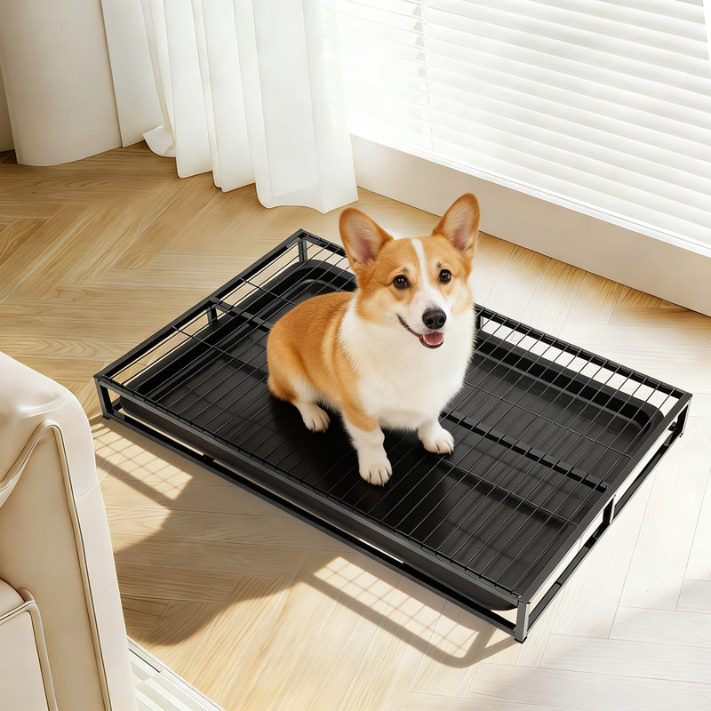 Toilette pour dressage de chiens avec plateau coulissant