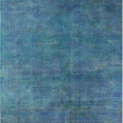 Anivia Indoor Rug