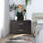 Aylinne 2 Drawer Storage Drawer-687692264