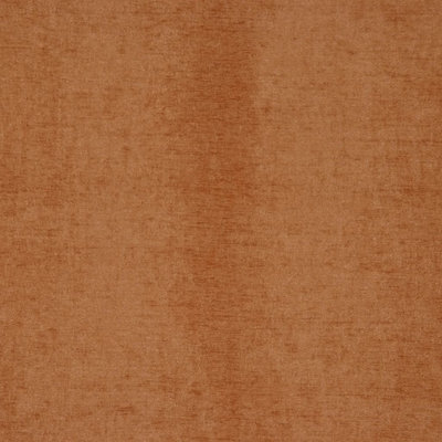 Plush Fabric