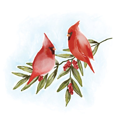 Two Cardinals - Wrapped Canvas Print