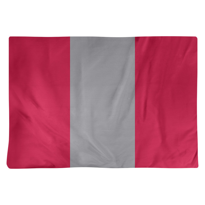 Récapitulatif 18" basket Toronto, Rouge / argent / rouge, Polyester