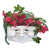 Blanc antique sélectionné