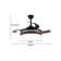 Ceiling Fan with LED Lights