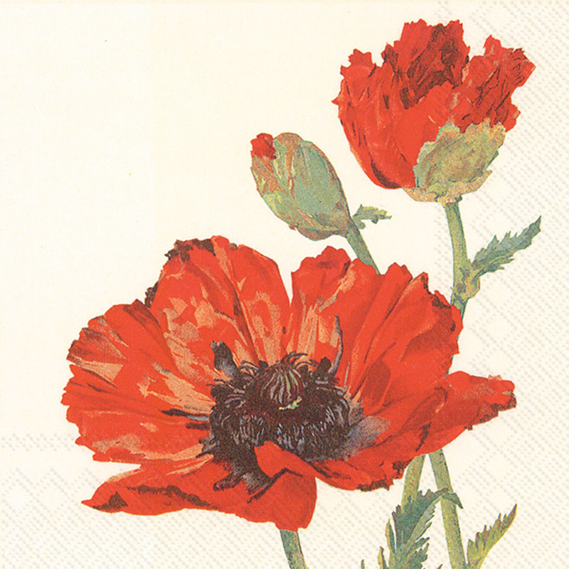 Serviette jetable en papier Poppy Basic