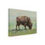 Art sur toile Ethan Harper «Where The Buffalo Roam I»-952878752