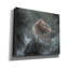 «Winston Porter 'Bear Splash2 par David Stribble, art mural sur toile» par David Stribble-1730553171